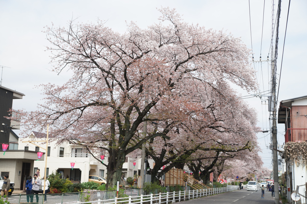 2023年4月2日(日)