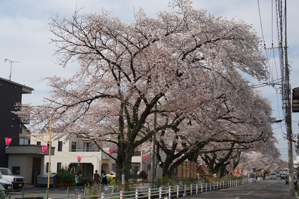 2023年3月31日(金)