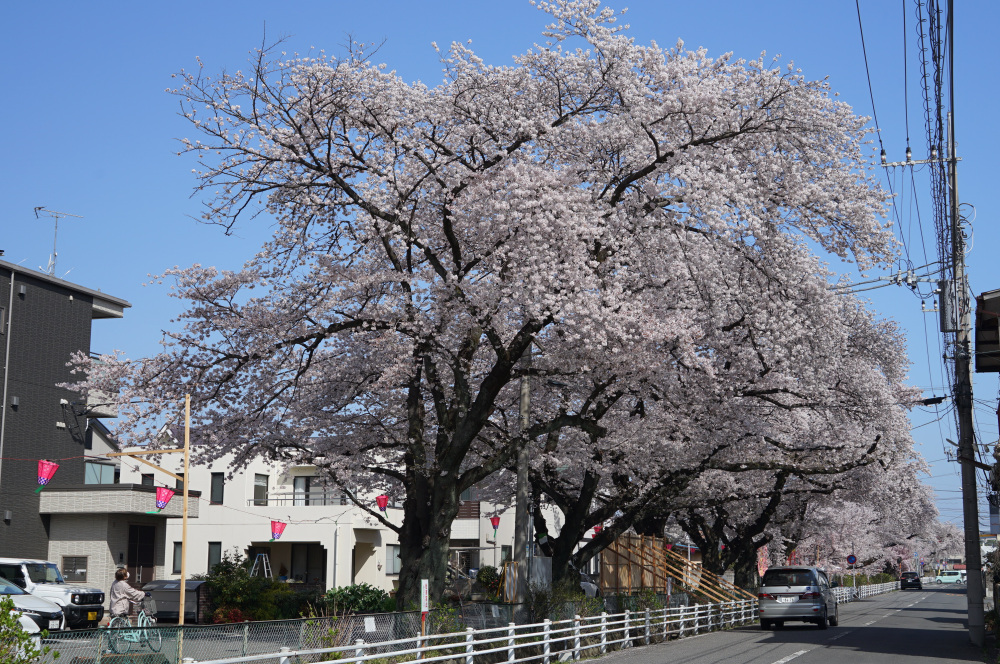 2023年3月29日(水)