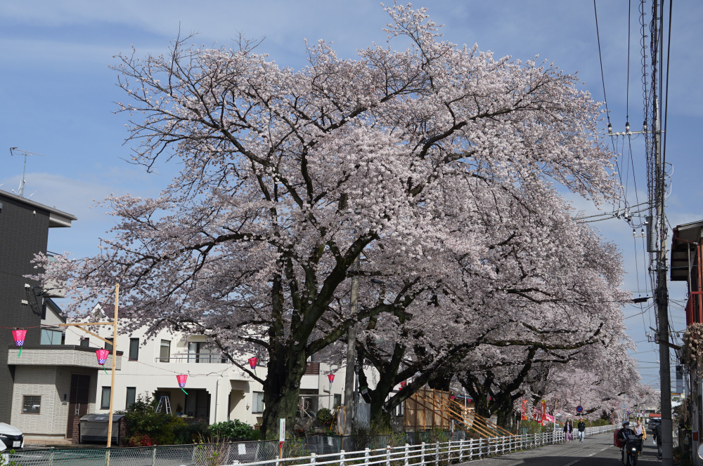 2023年3月27日(月)