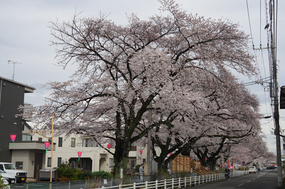 2023年3月24日(金)