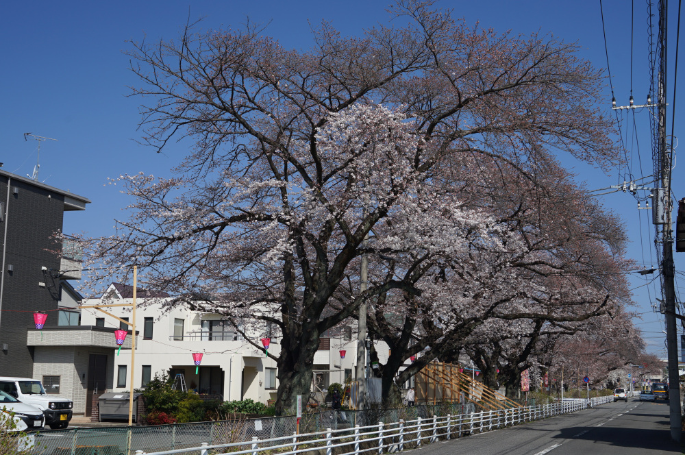 2023年3月22日(水)