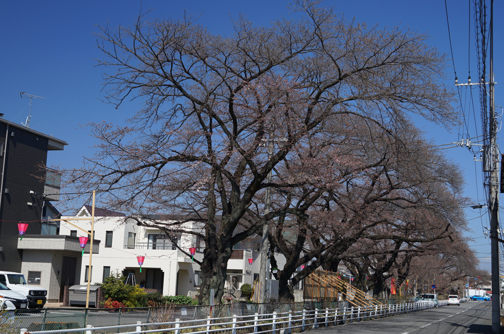 2023年3月20日（月）