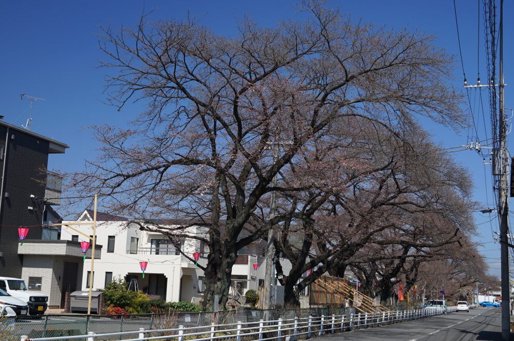 2023年3月20日(月)
