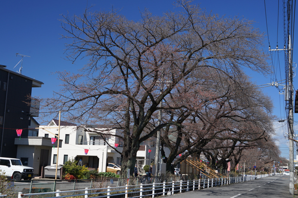2023年3月19日(日)