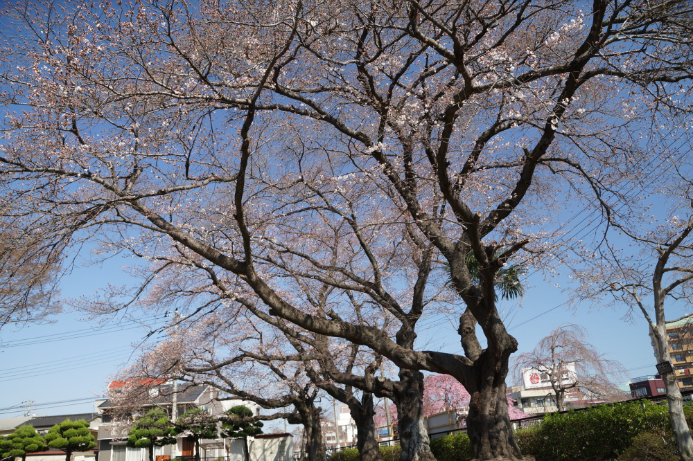 2023年3月22日(水)