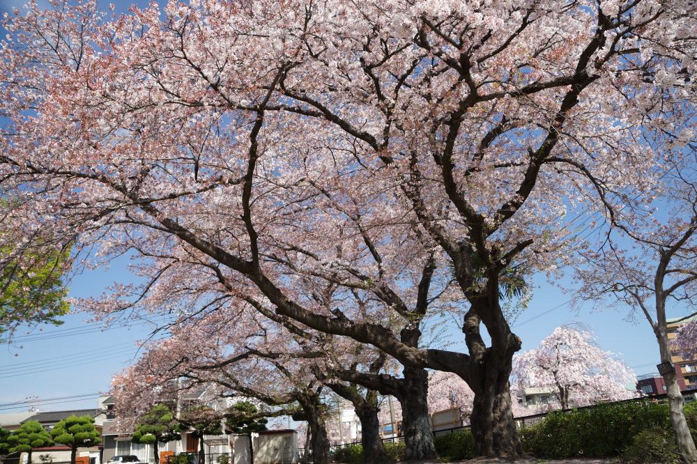 2023年4月4日(火)