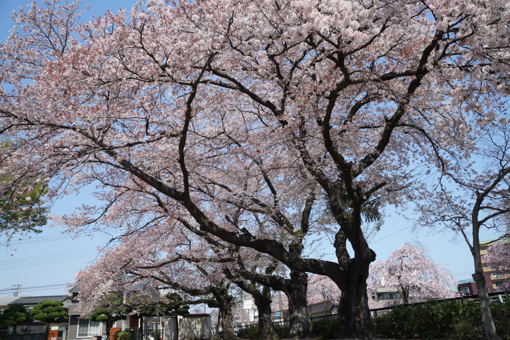 2023年4月3日(月)