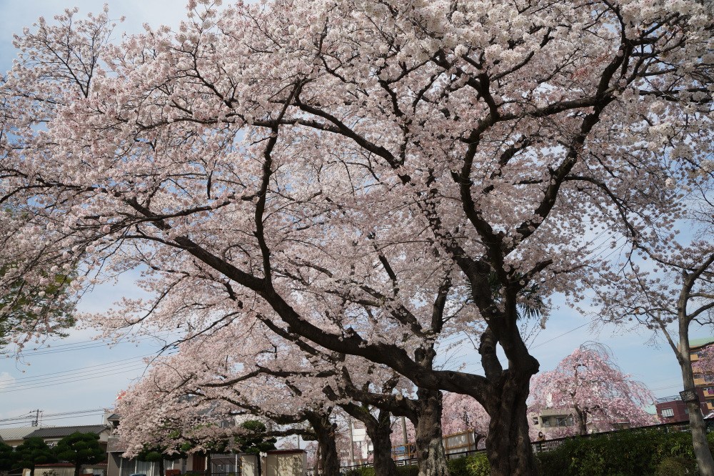 2023年3月31日(金)