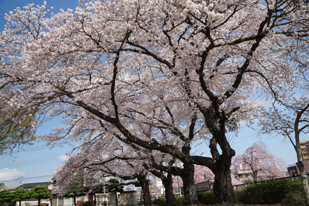 2023年3月30日(木)