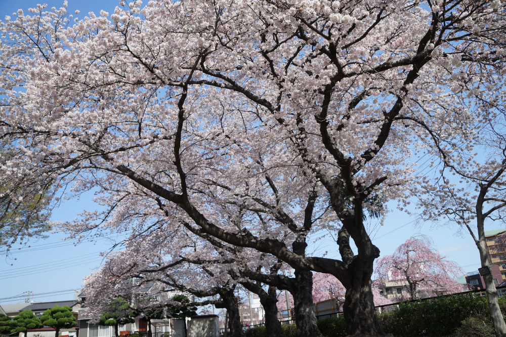 2023年3月29日(水)