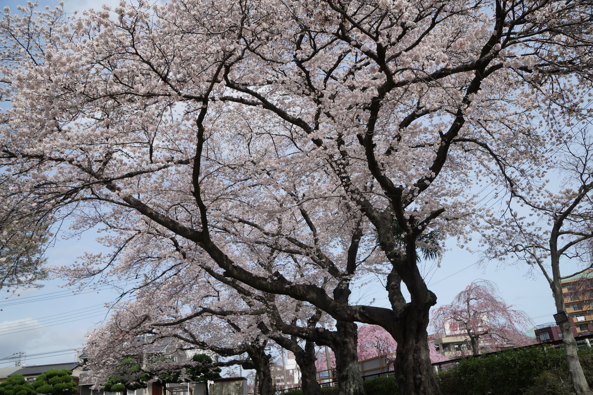 2023年3月27日（月）
