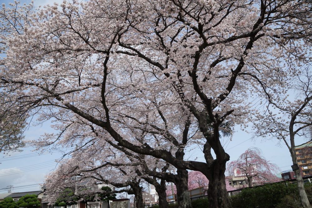 2023年3月27日(月)