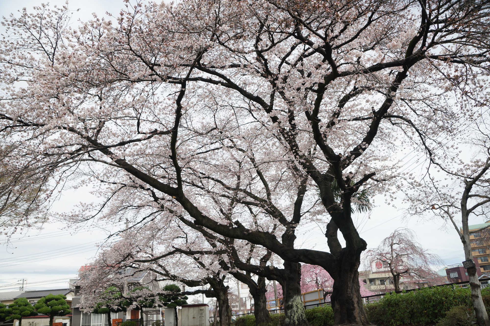 2023年3月24日（金）