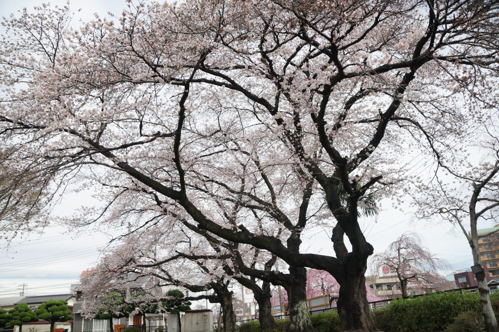 2023年3月24日(金)