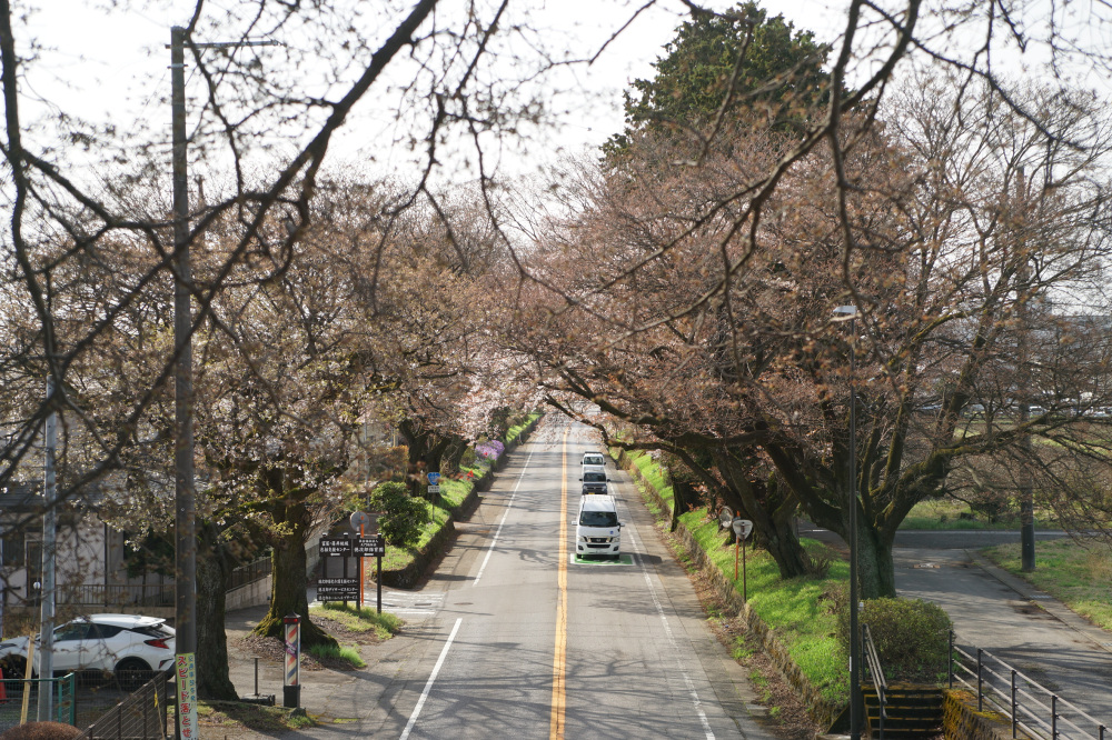 2023年3月27日(月)