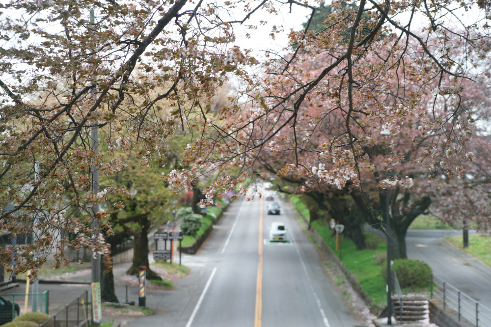 2023年4月7日(金)
