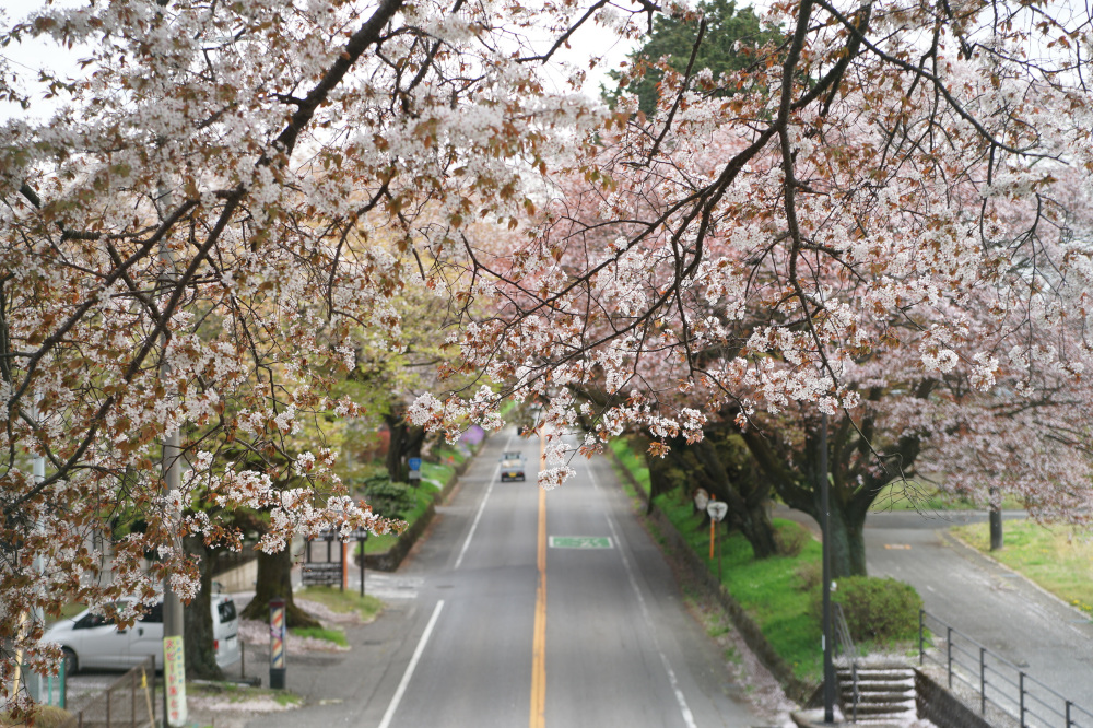 2023年4月6日(木)