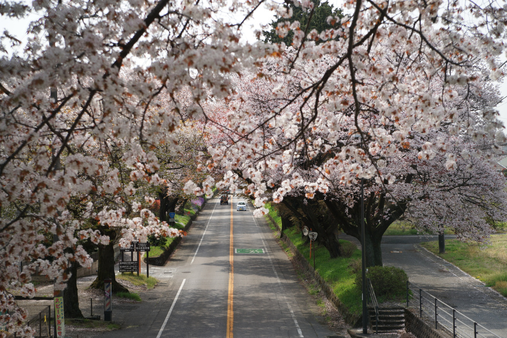 2023年4月5日(水)