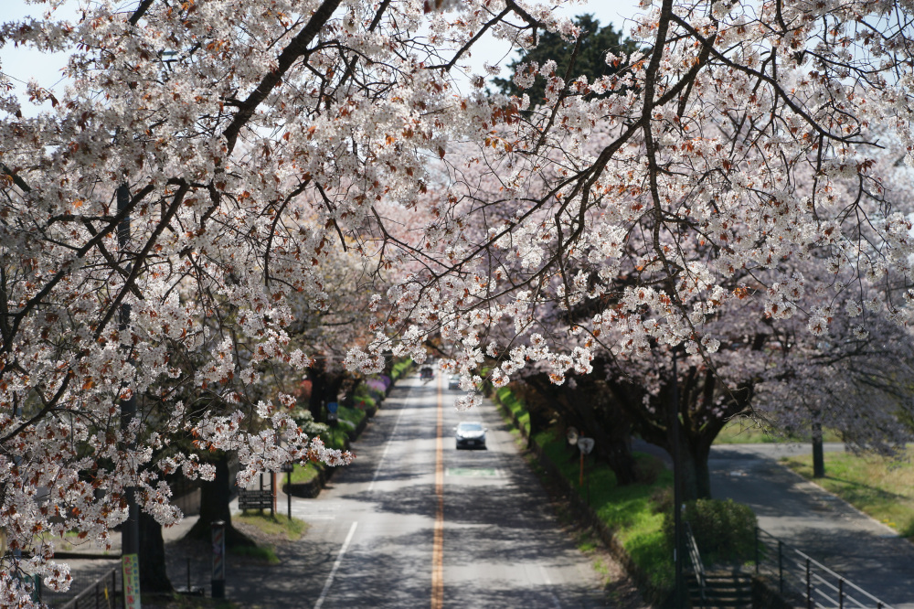 2023年4月4日(火)
