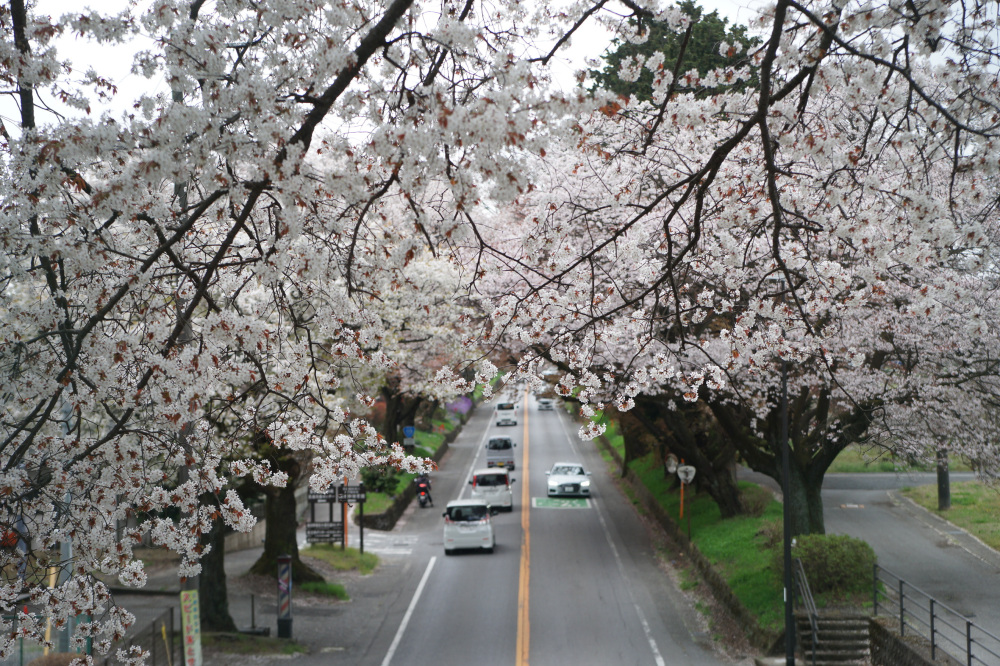 2023年4月2日(日)