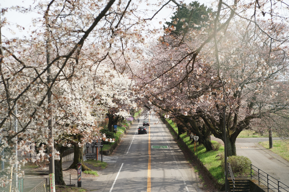2023年3月31日(金)