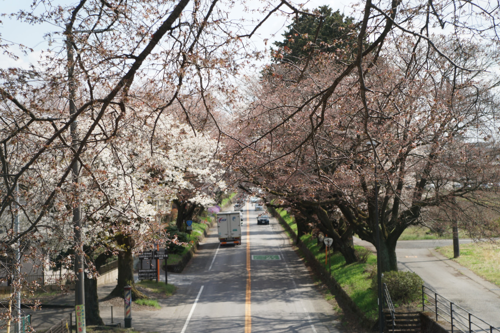 2023年3月30日(木)