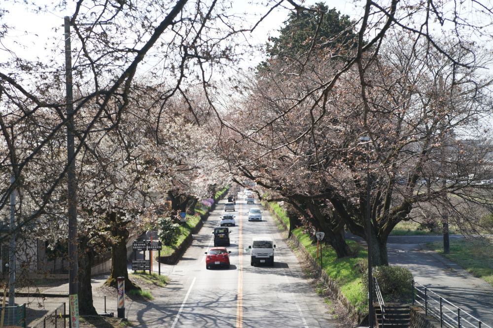 2023年3月29日(水)