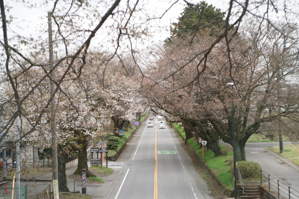 2023年3月28日(火)