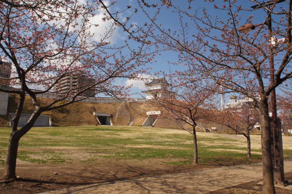 2019年3月8日（金）