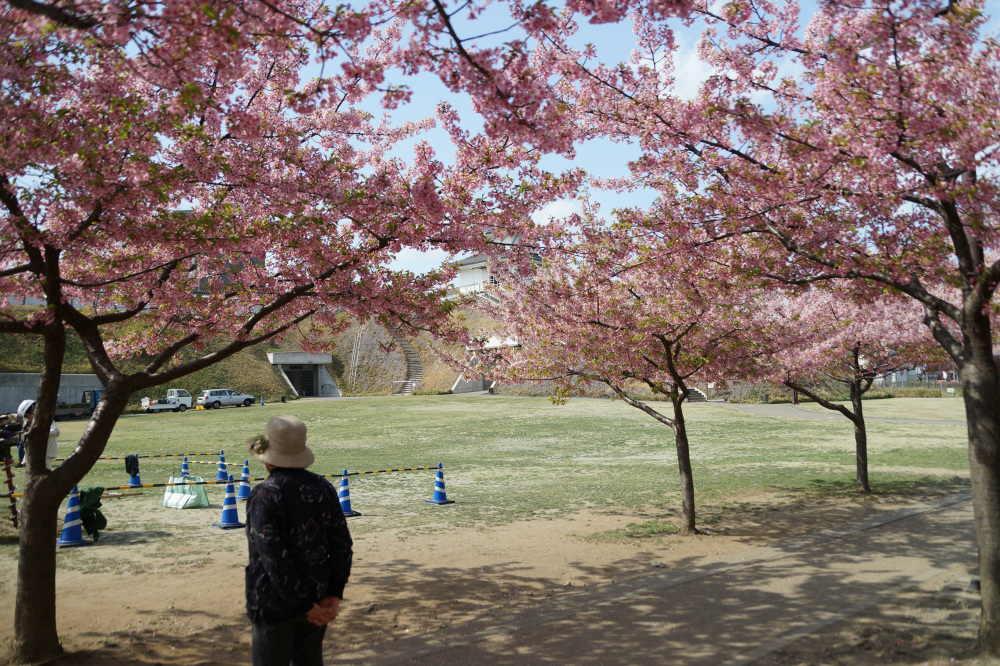 2019年3月28日（木）