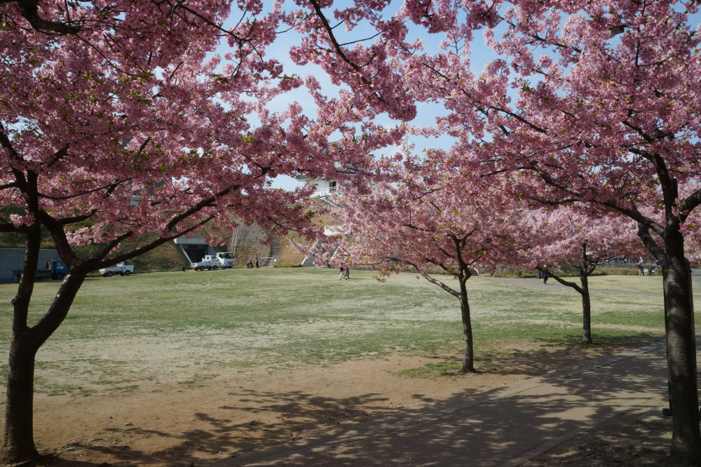 2019年3月26日（火）