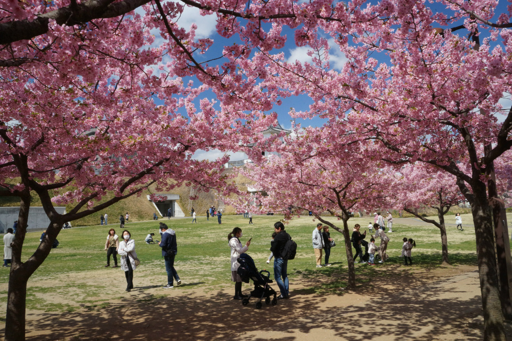 2019年3月24日（日）