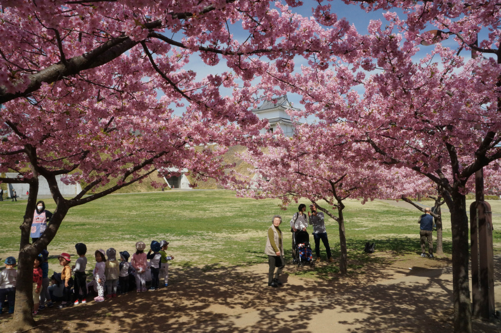 2019年3月22日（金）