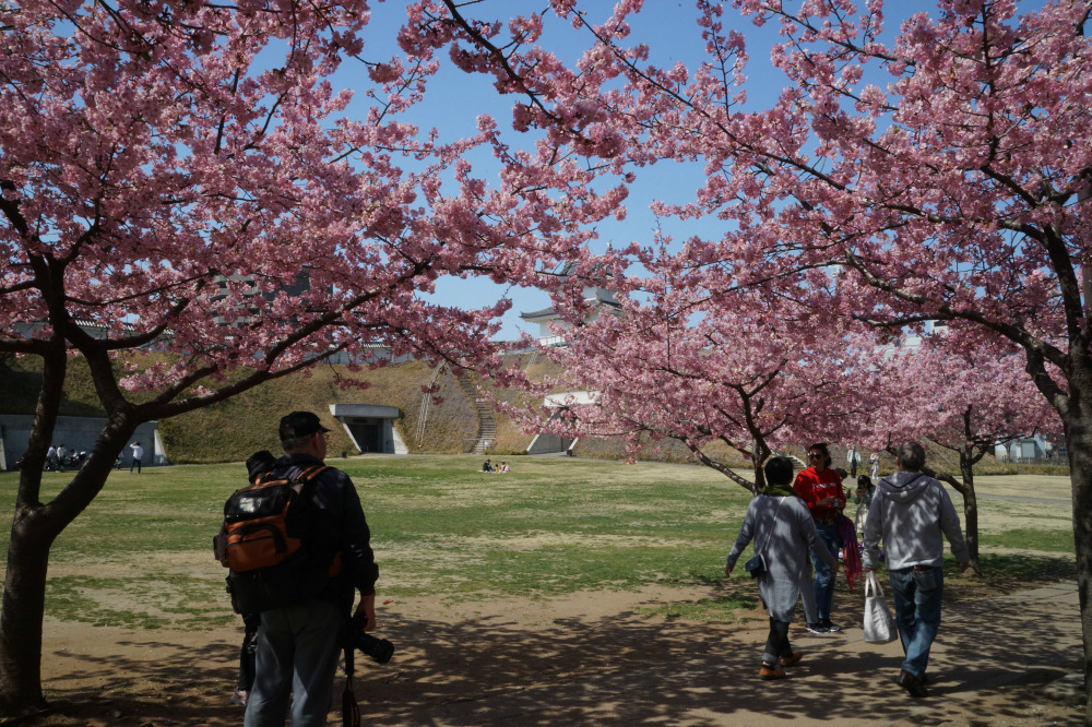2019年3月20日（水）