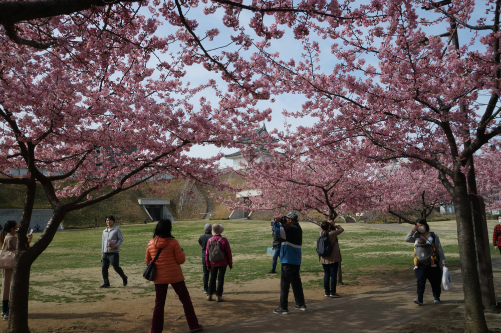2019年3月19日（火）