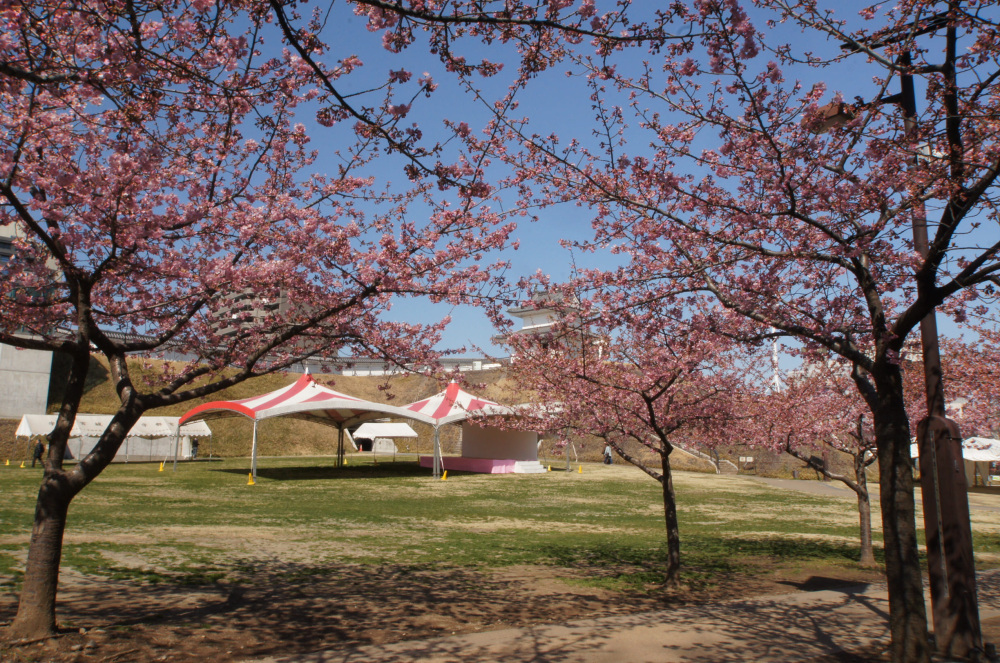 2019年3月15日（金）