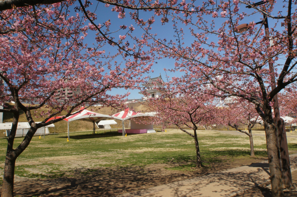2019年3月14日（木）