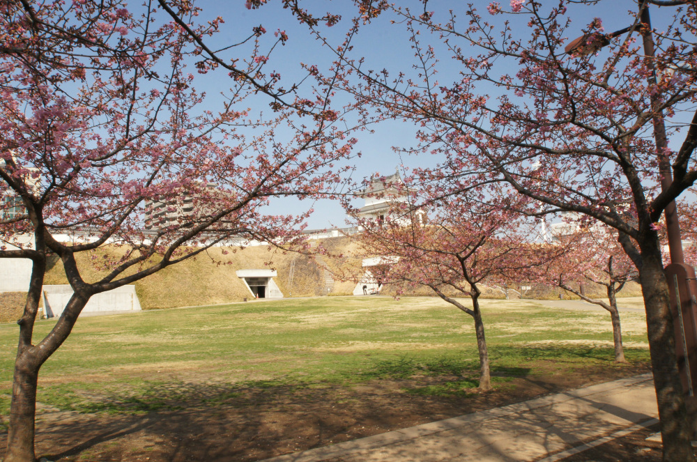 2019年3月12日（火）