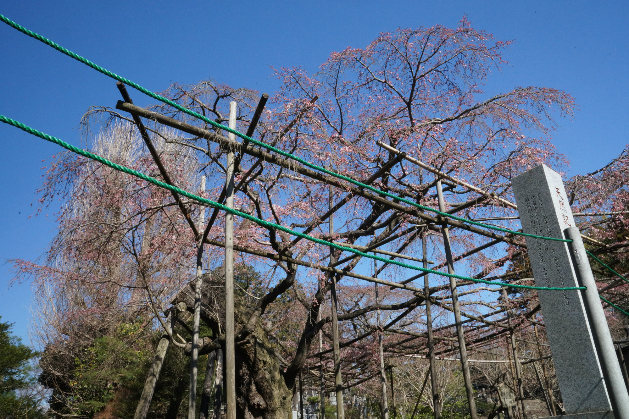 2019年3月24日(日)