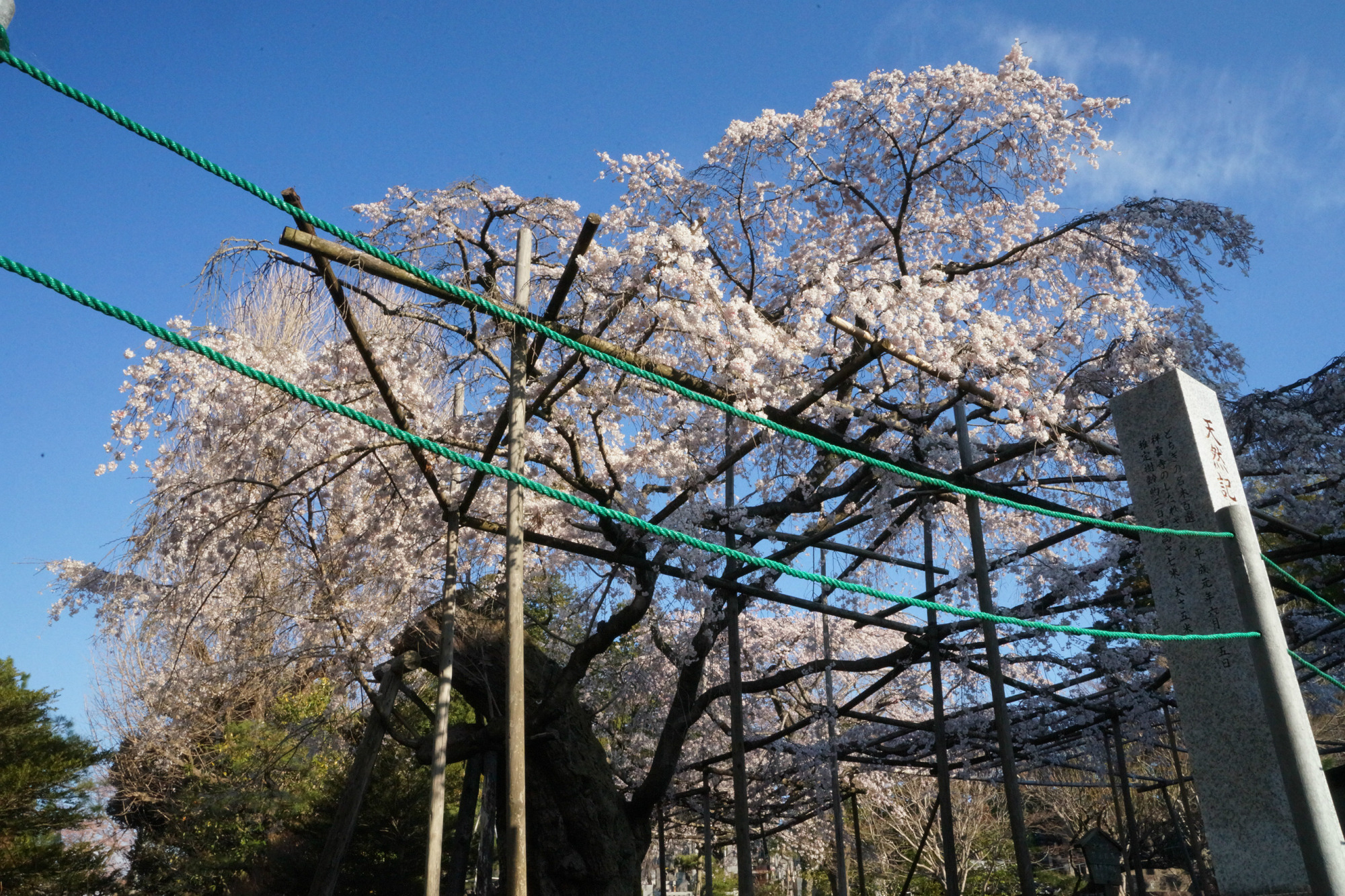 2019年4月4日(木)