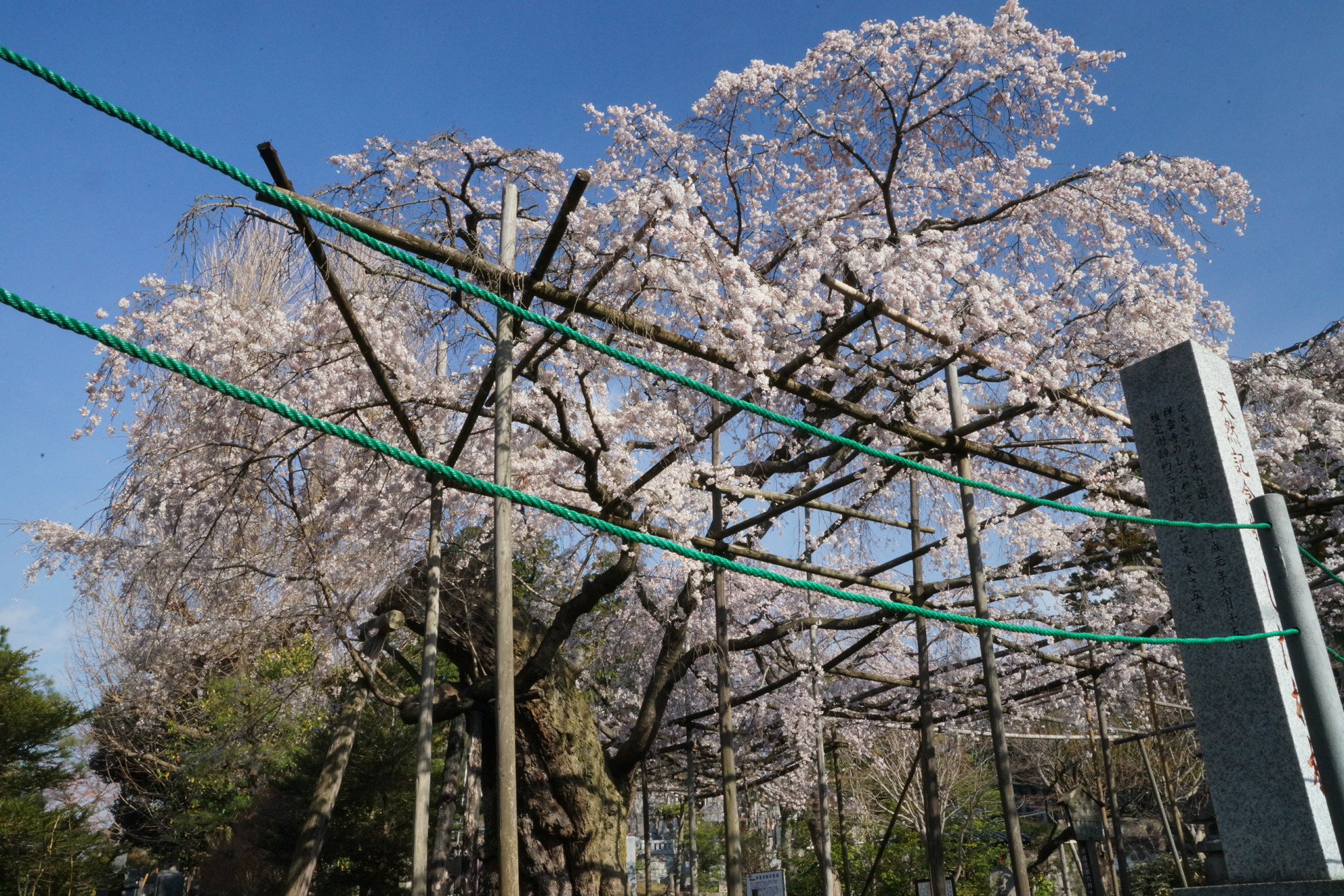 2019年4月3日(水)