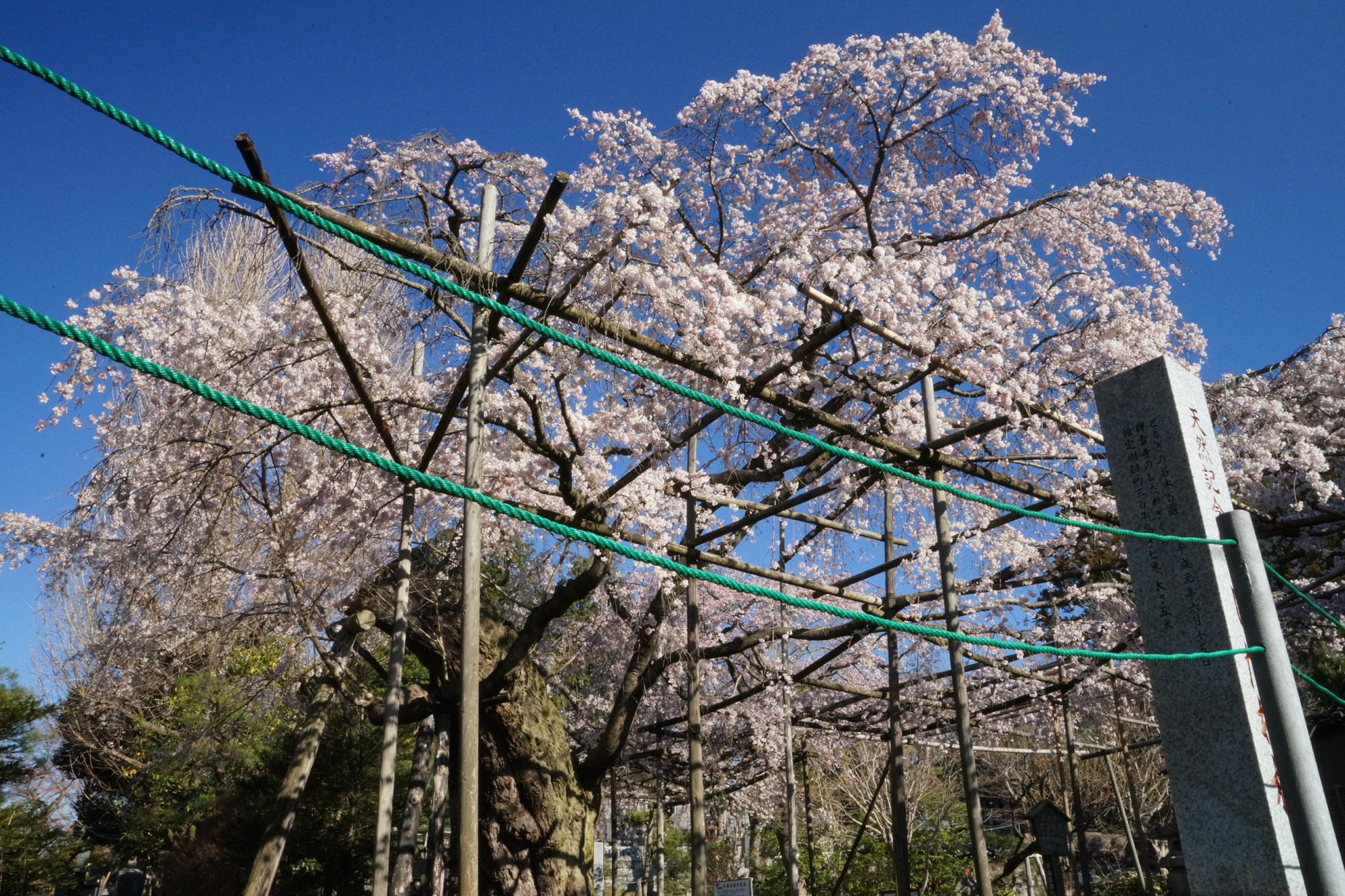 2019年4月1日(月)