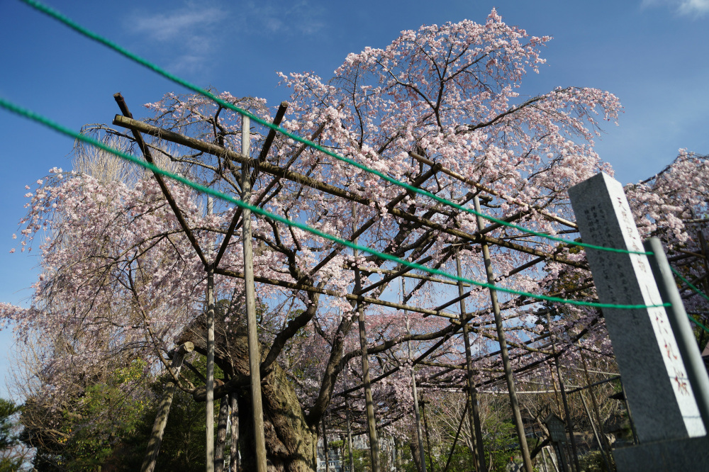 2019年3月28日（木）