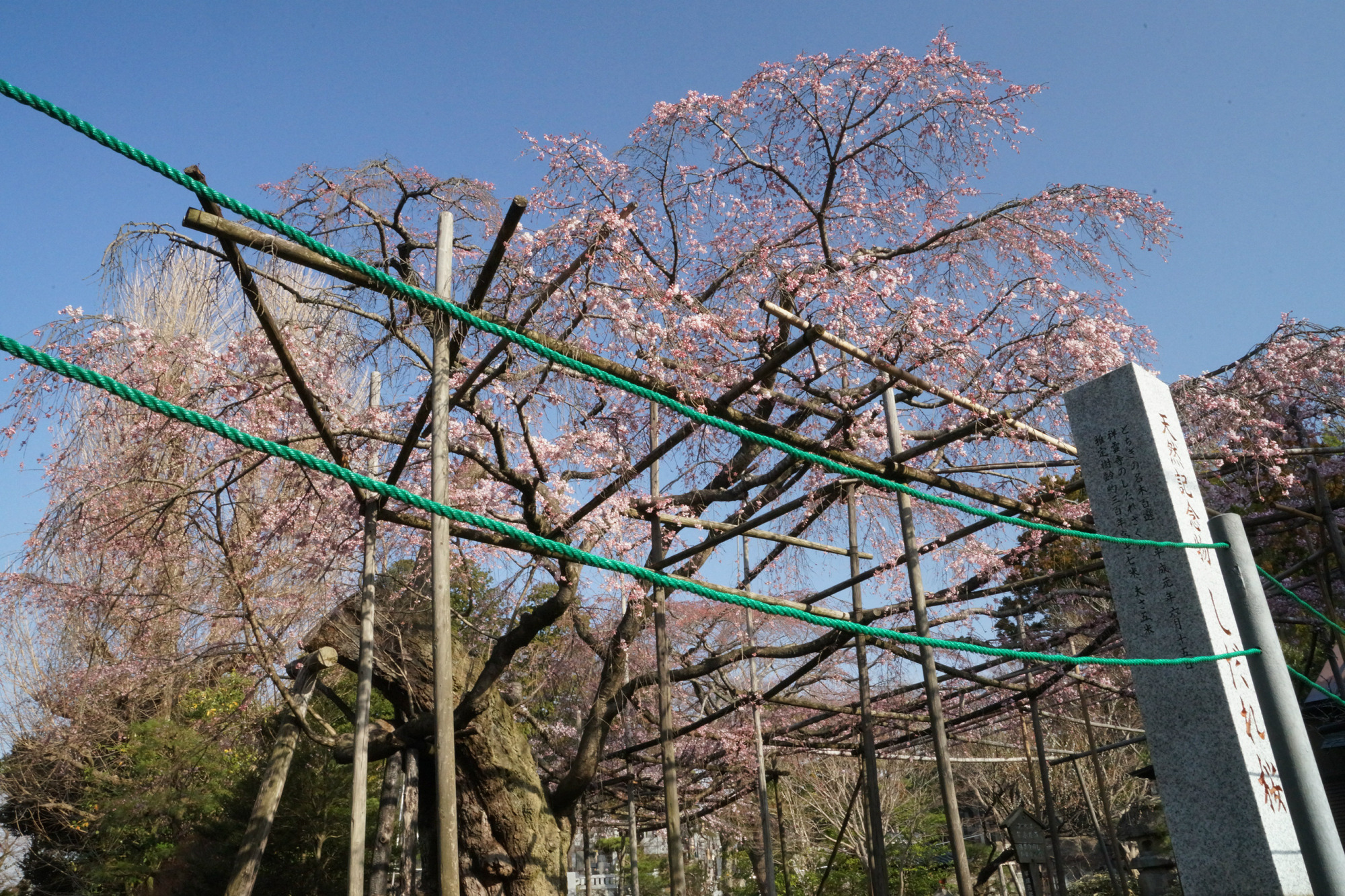2019年3月26日(火)