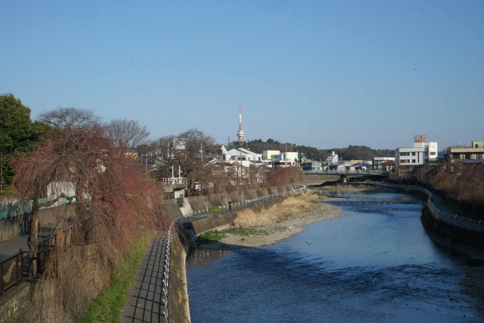 2019年3月25日(月)