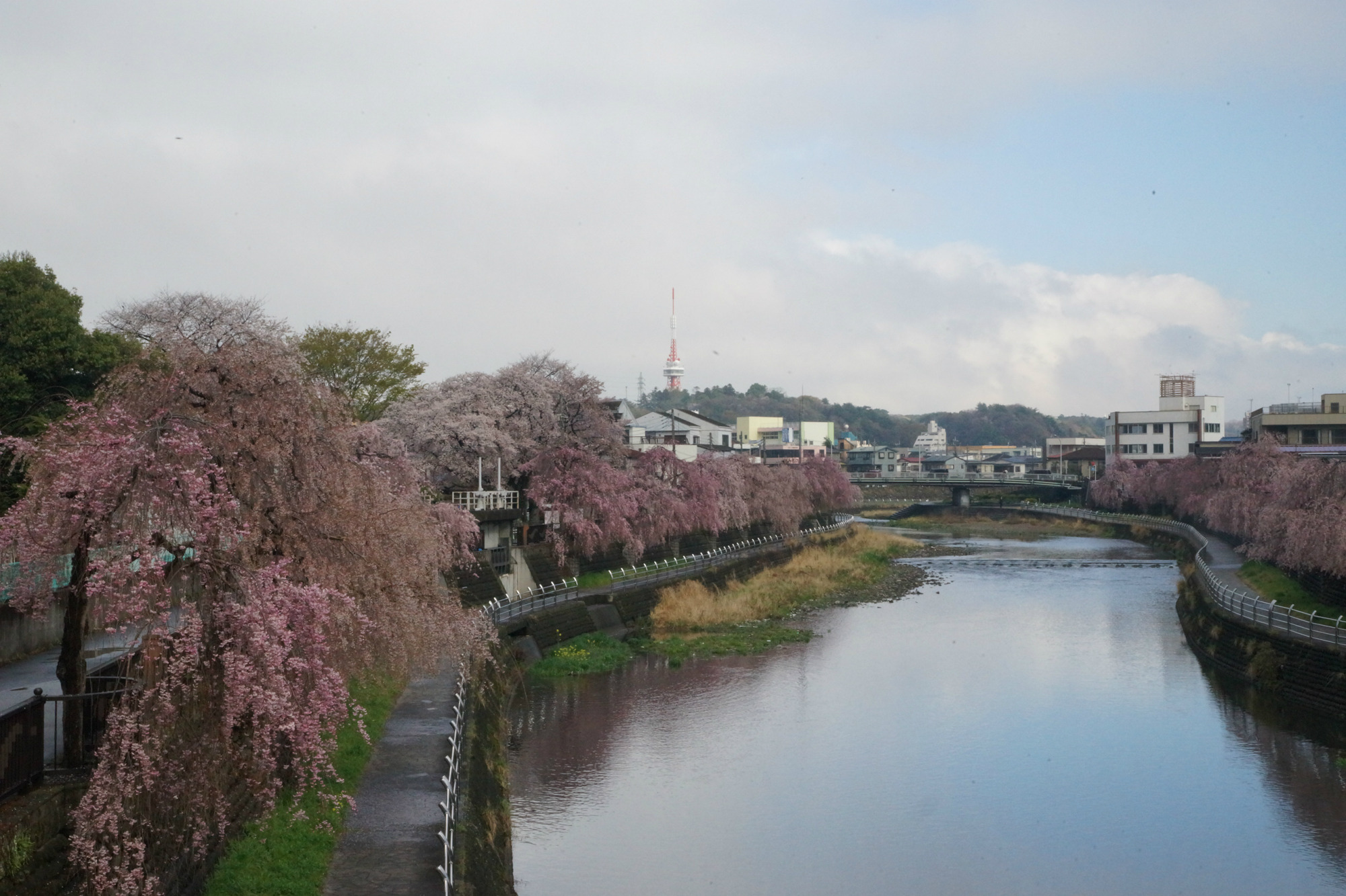 2019年4月15日(月)