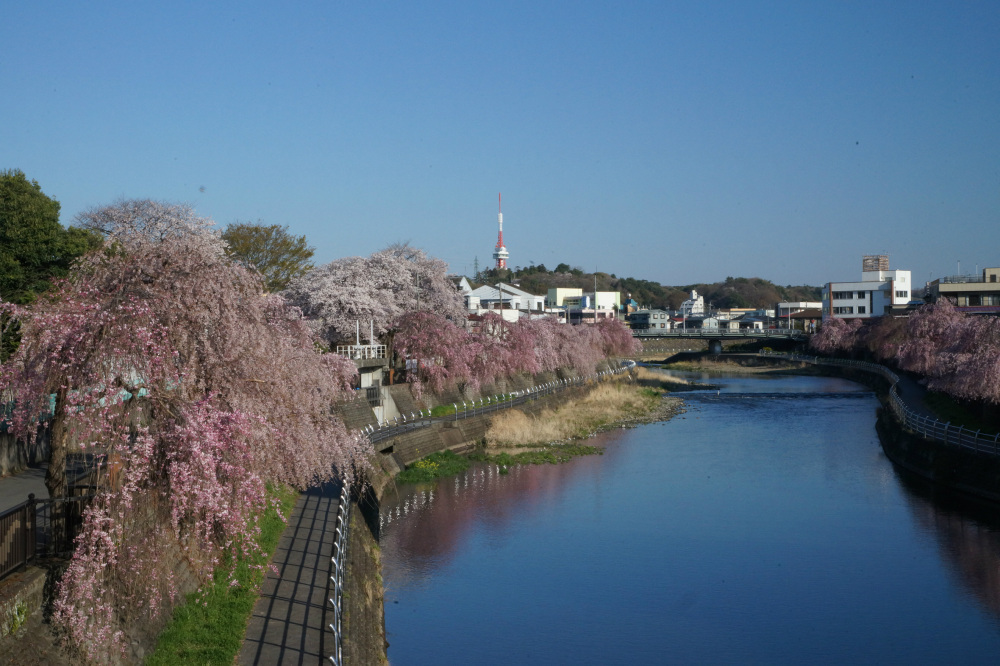 2019年4月13日（土）