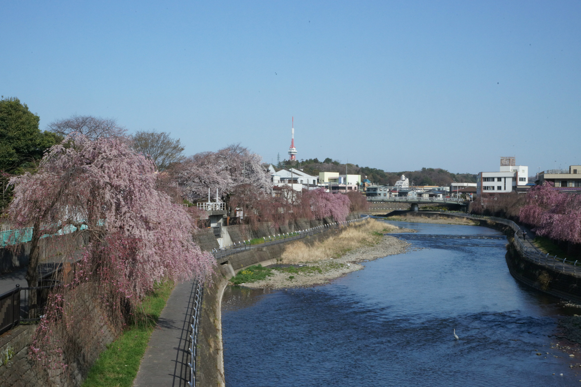 2019年4月6日(土)