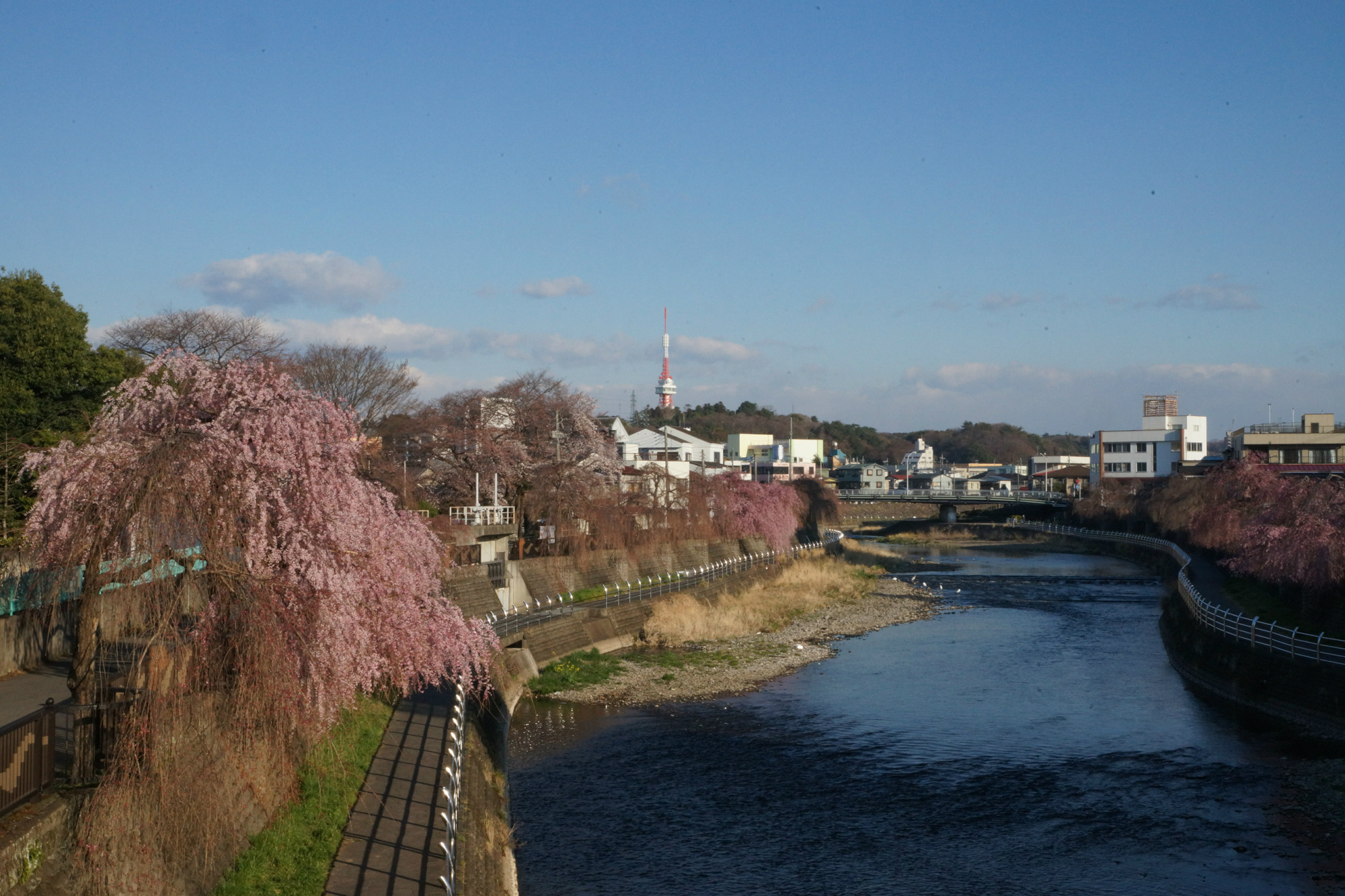 2019年4月4日(木)